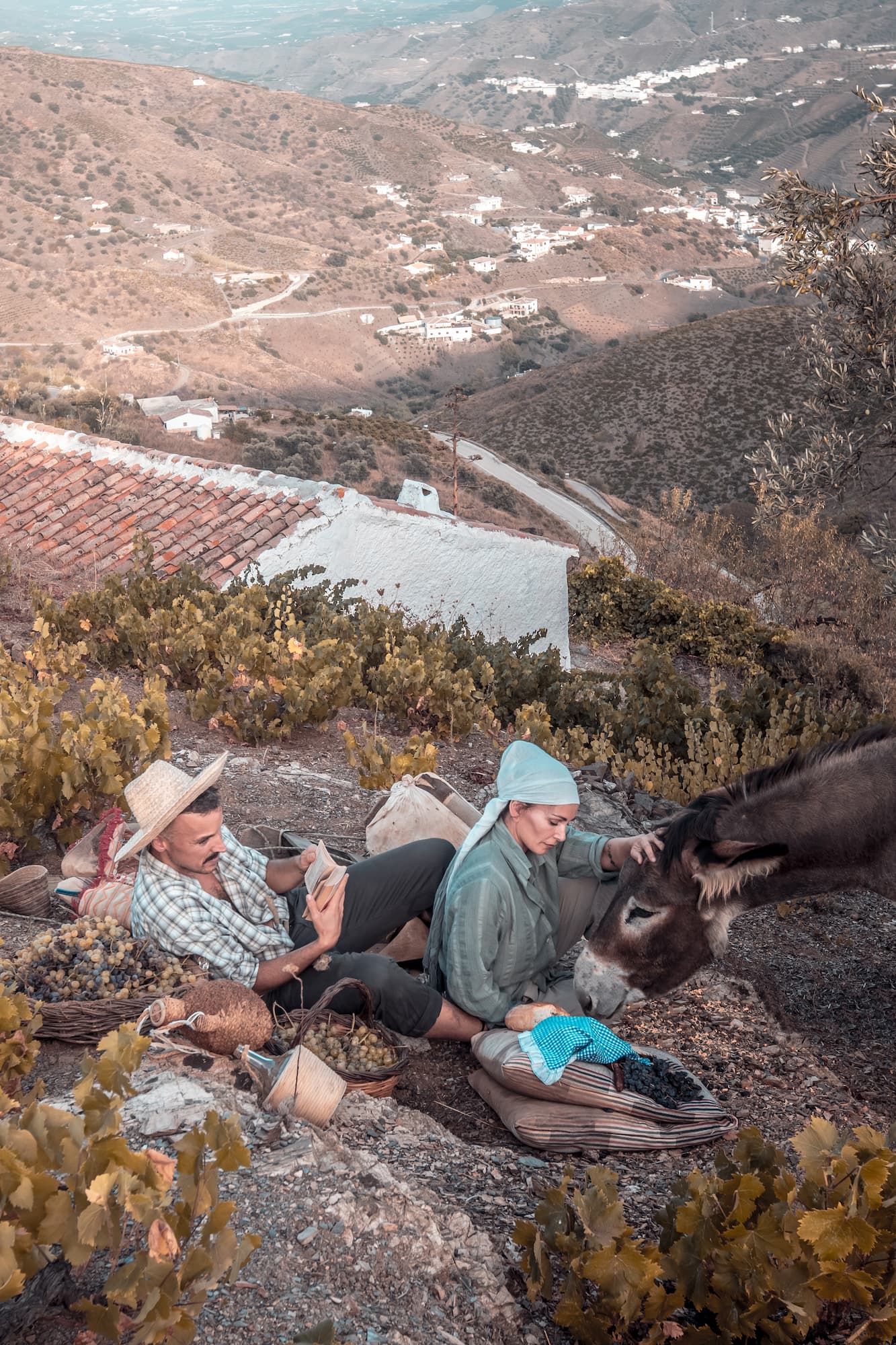 Burrita Baldomera - Burrutas - Rutas con Burros - Axarquía - Málaga