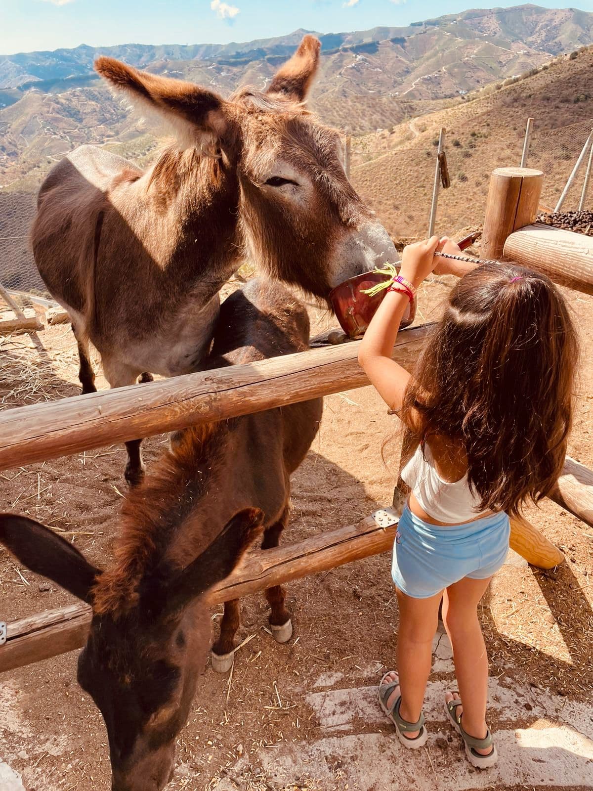 burrita baldomera - Visita Villa baldo - Visitar Burros - Axarquía - Málaga