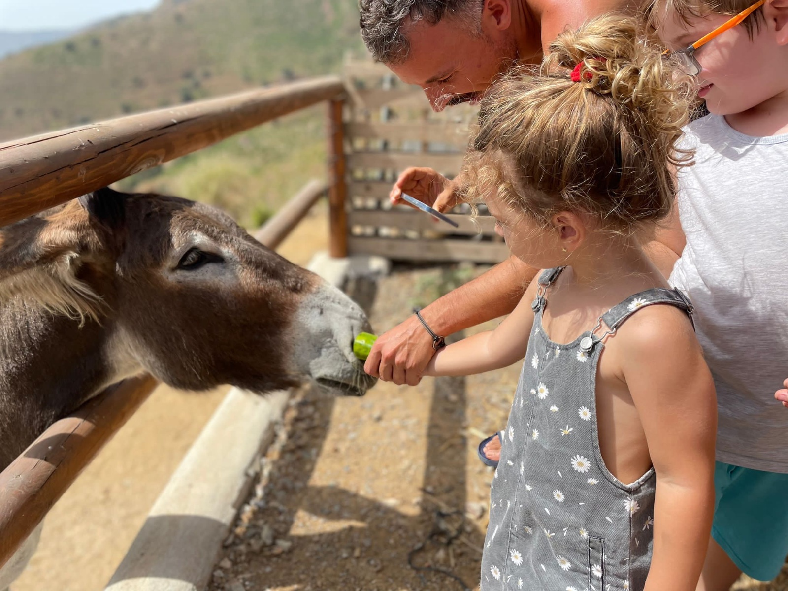 Visita Villa Baldo, la finca de la burrita más viral de Internet
