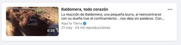 aquí la tierra - baldo clipping